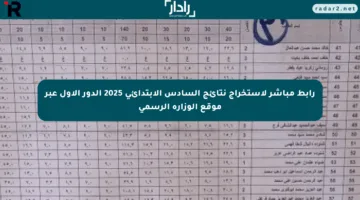 رابط مباشر لاستخراج نتائج السادس الابتدائي 2025 الدور الأول عبر موقع الوزارة الرسمي
